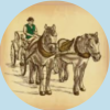 Laredo